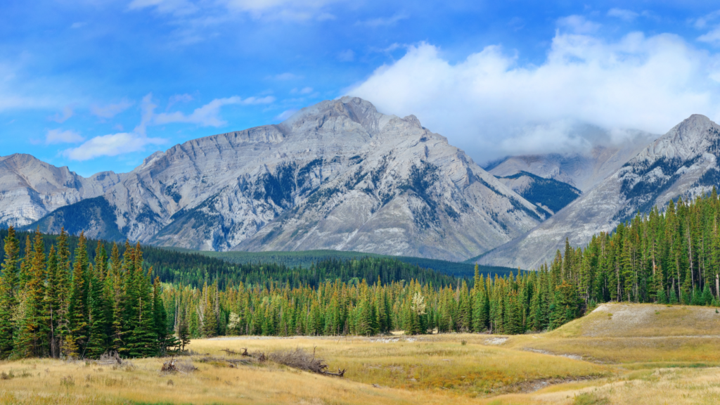 Canadian Visa Professionals - Banff