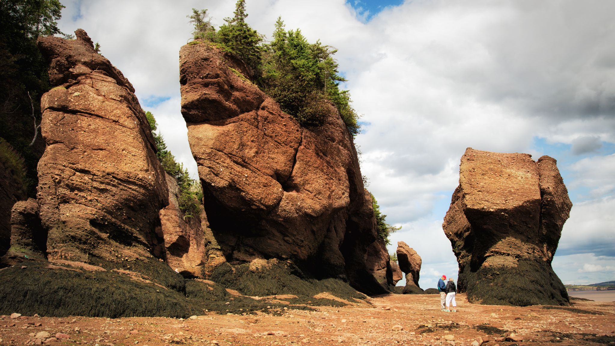 Parc national de Fundy - Nouveau-Brunswick