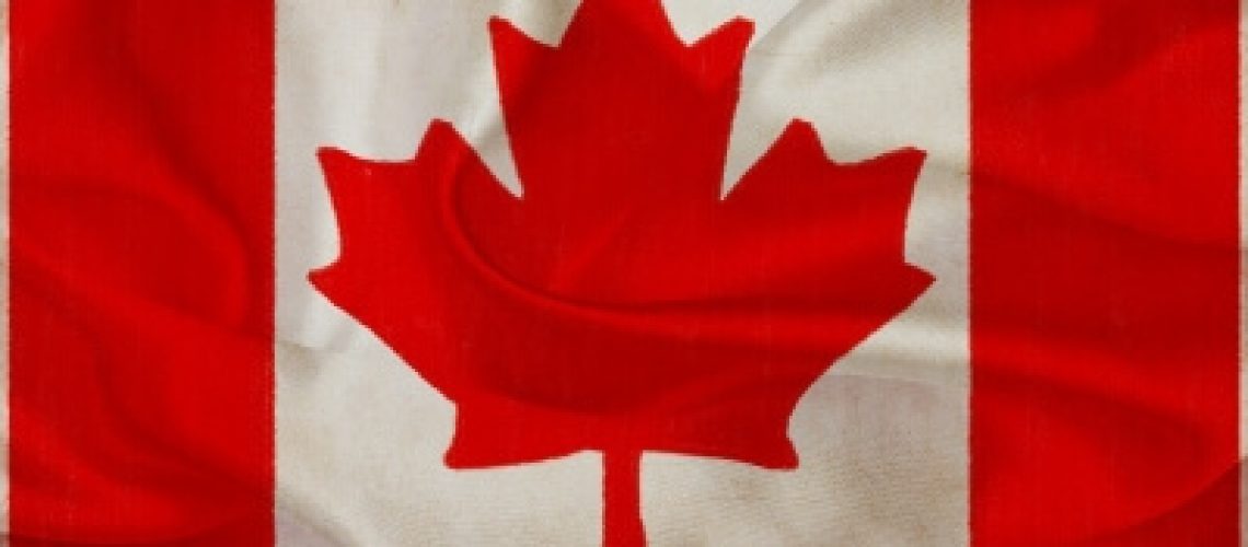 Canadian Visa Professionals Flag