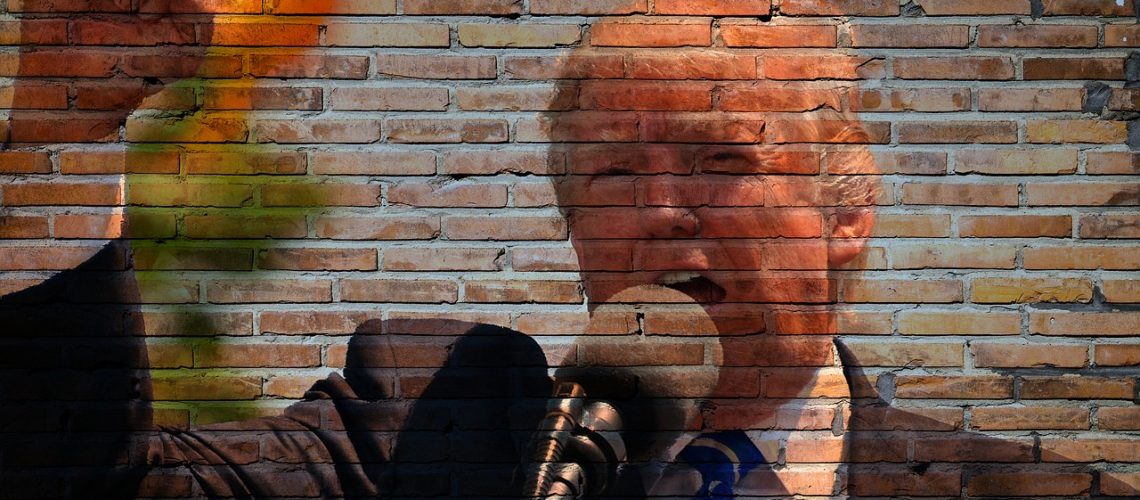 trump-2704264_1280
